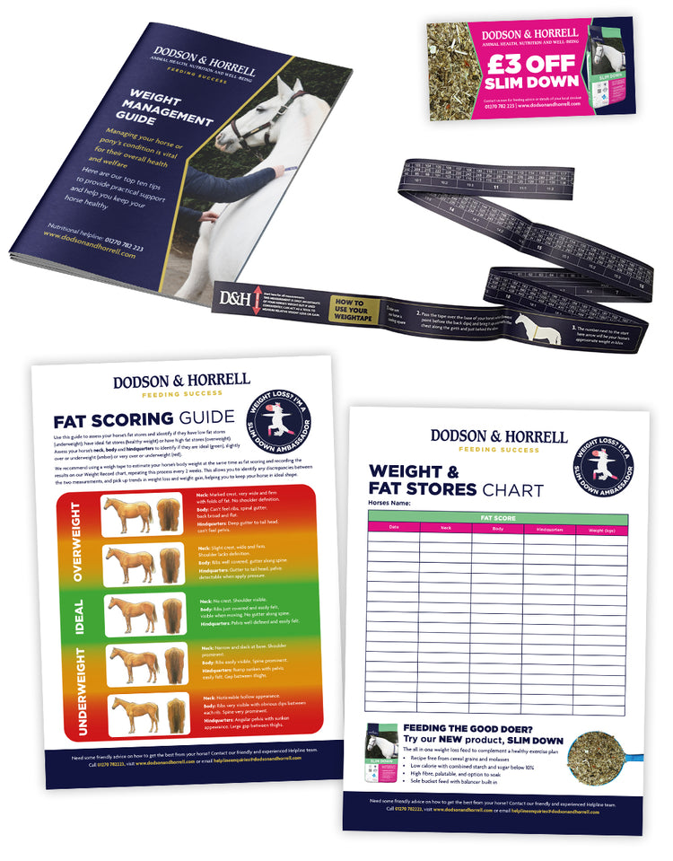 Slim Down Support Pack